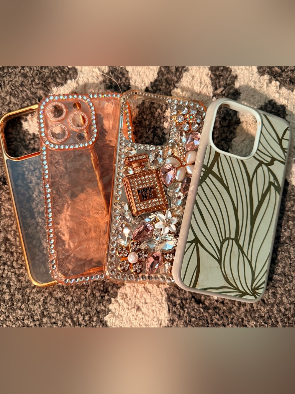 iPhone 13Pro EUC Phone Cases